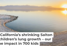 The Salton Sea is shrinking and releasing toxic dust from its lake bed. Jennifer Davis/iStock/Getty Images Plus